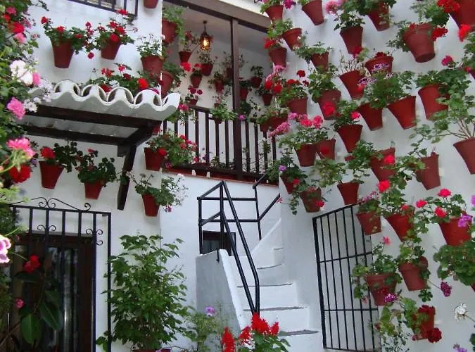 아파트 El Balcon De La Juderia 코르도바